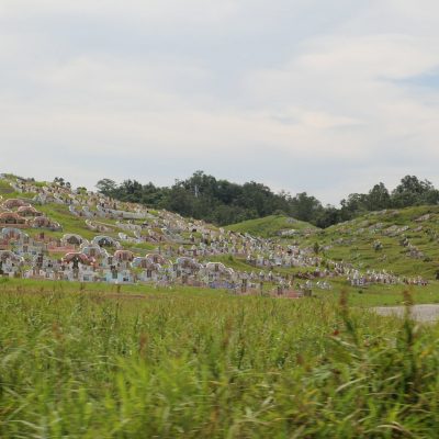 img_7451389981789.jpg